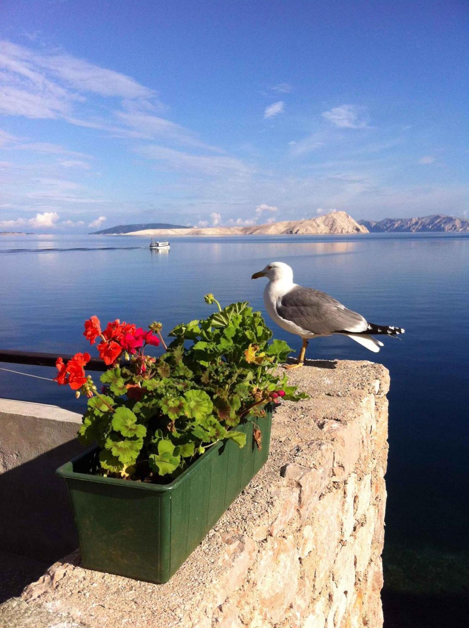 Apartment Starigrad/Senj 1 Екстериор снимка